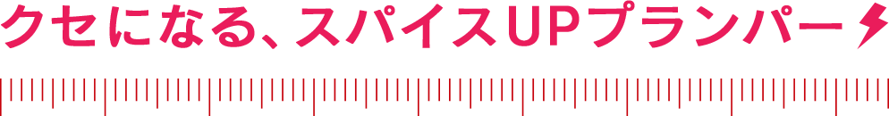 クセになる、スパイスUPプランパー